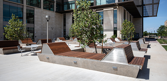 Outdoor gathering and seating area