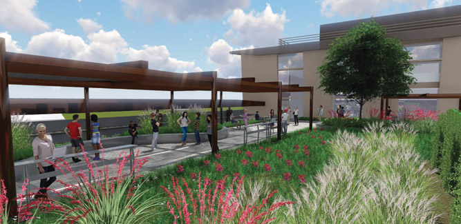 Zachry roof top green space